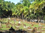 IMG_1340
