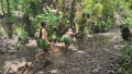 IMG029