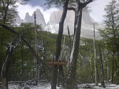 torres_pehoe_cuernos