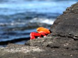 img_0747