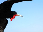 img_1472