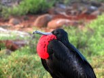 img_1767