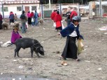 img_2592