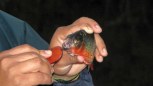 img_3573