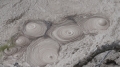 img032