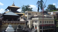The trip in Nepal in 2010 with a 14 day's track.